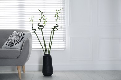 Vase with green bamboo stems near sofa in living room interior. Space for text