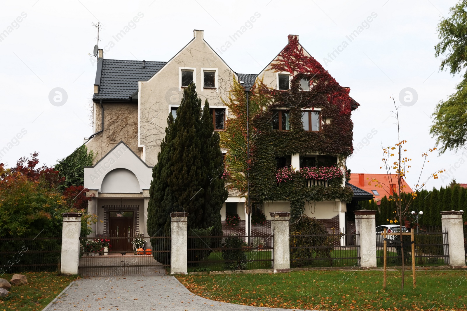 Photo of Beautiful house covered in climber plants outdoors. Real estate for rent