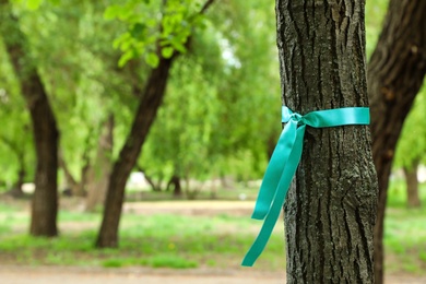 Teal ribbon tied to tree outdoors, space for text