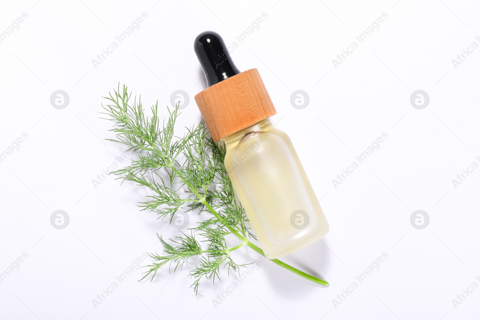 Photo of Bottle of essential oil and fresh dill on white background, top view