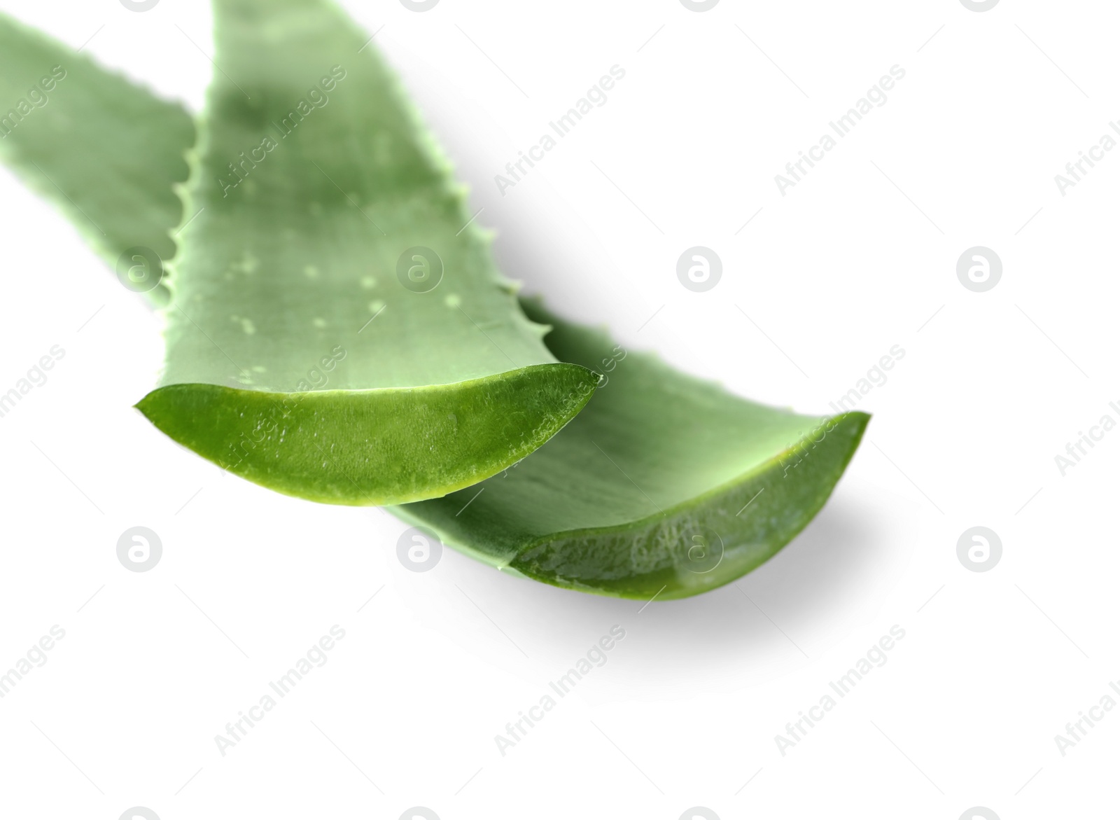 Photo of Green aloe vera leaves isolated on white, closeup