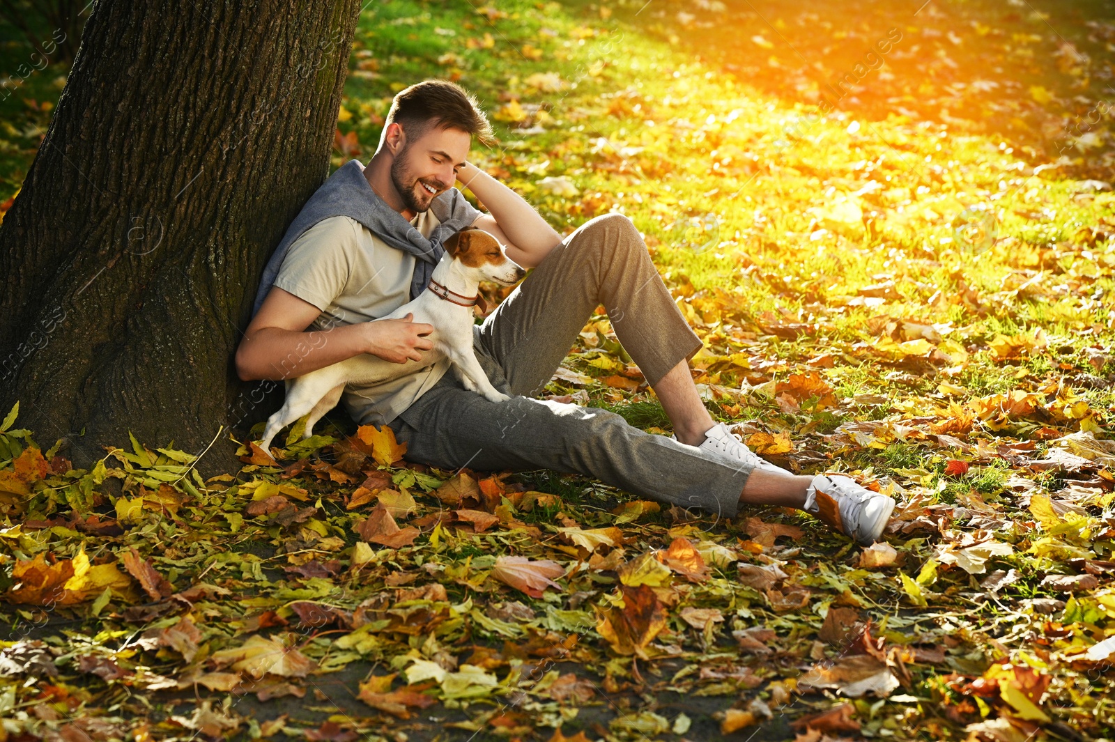 Photo of Man with adorable Jack Russell Terrier in autumn park. Dog walking