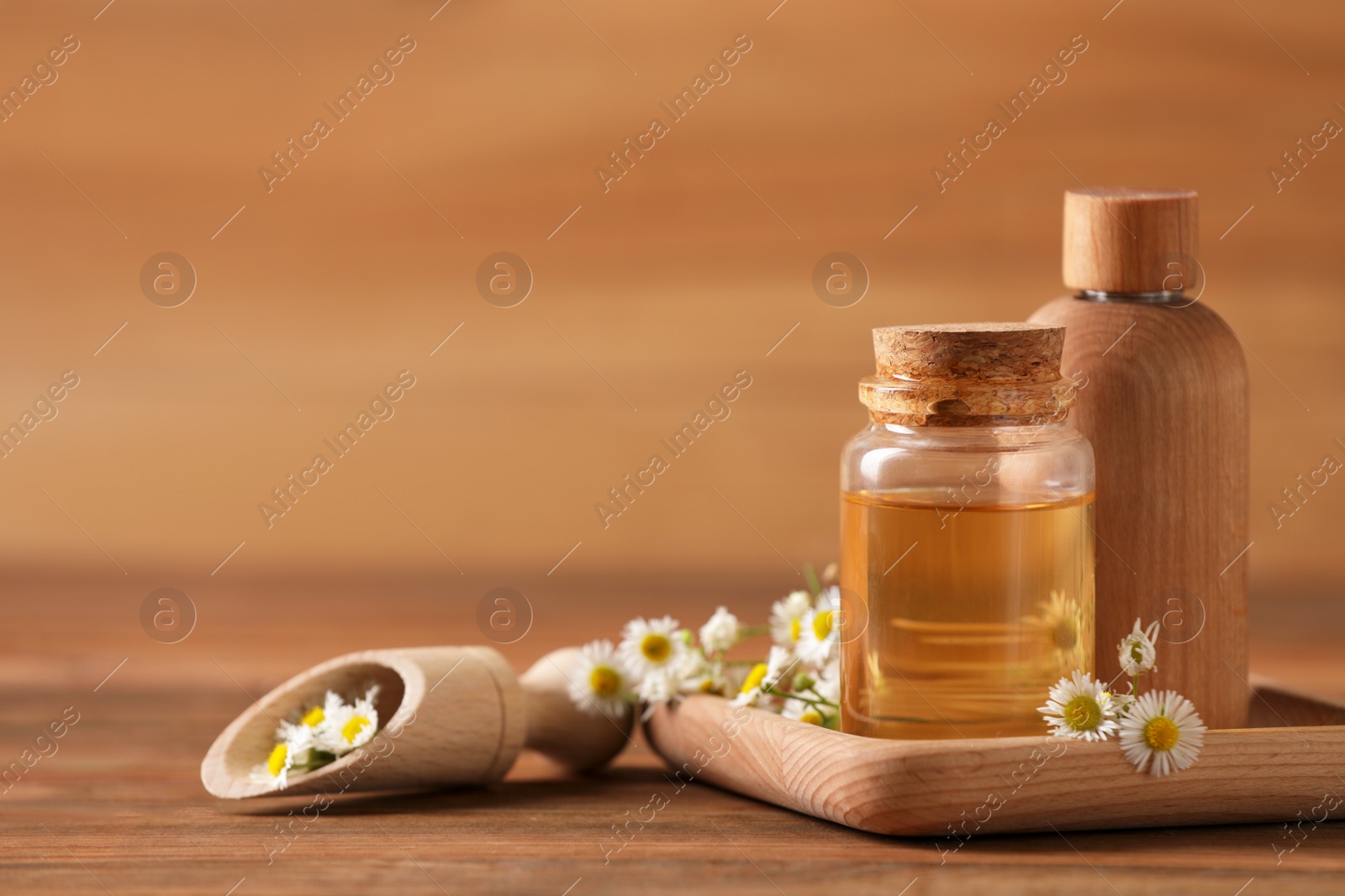 Photo of Bottles of chamomile essential oil and flowers on wooden table, space for text