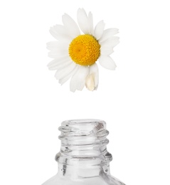 Essential oil dripping from chamomile petal into glass bottle on white background