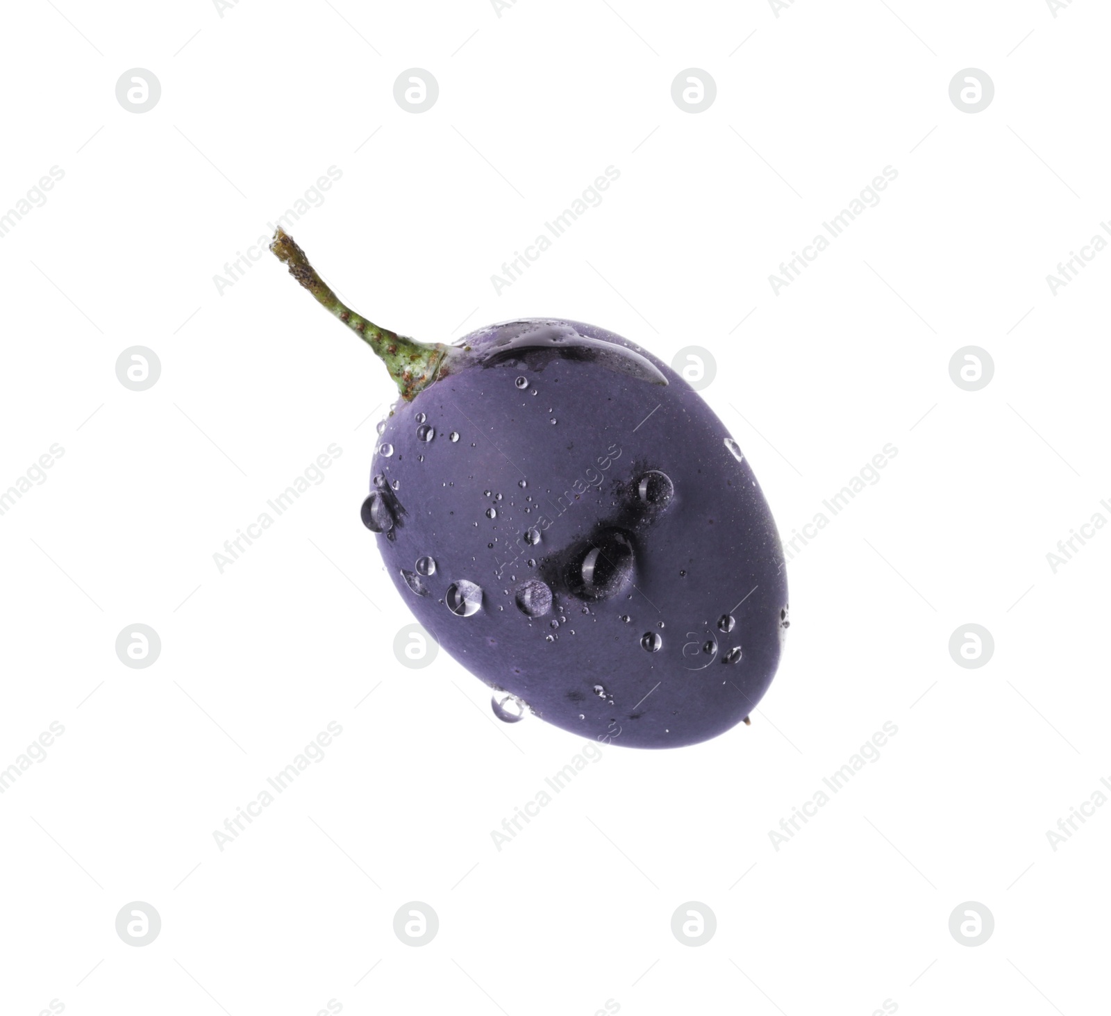 Photo of One ripe dark blue grape with water drops isolated on white