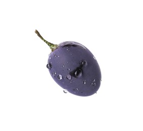 One ripe dark blue grape with water drops isolated on white