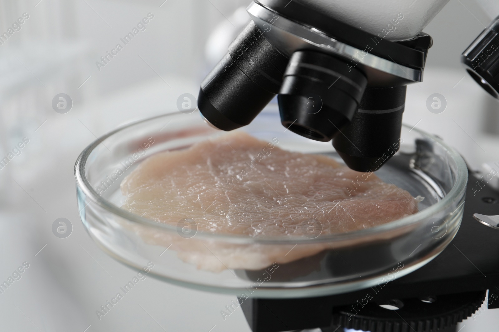 Photo of Petri dish with piece of raw cultured meat under microscope in laboratory, closeup