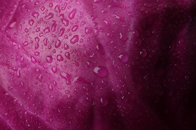 Photo of Fresh ripe red cabbage with water drops as background, closeup