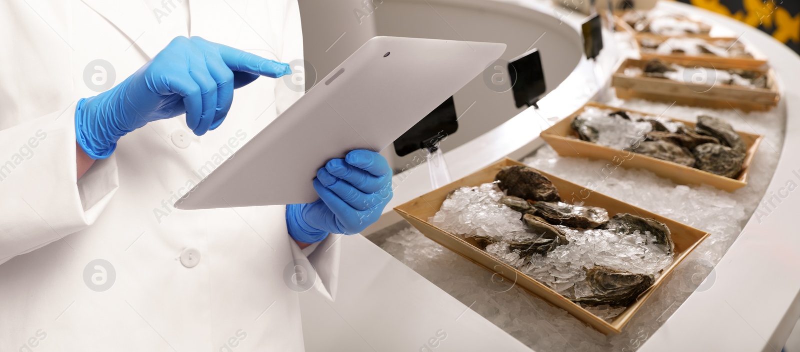 Image of Food quality control specialist examining oysters in supermarket, closeup. Banner design