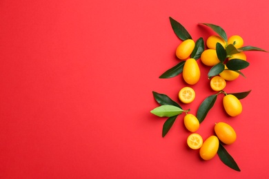 Fresh ripe kumquats with green leaves on red background, flat lay. Space for text