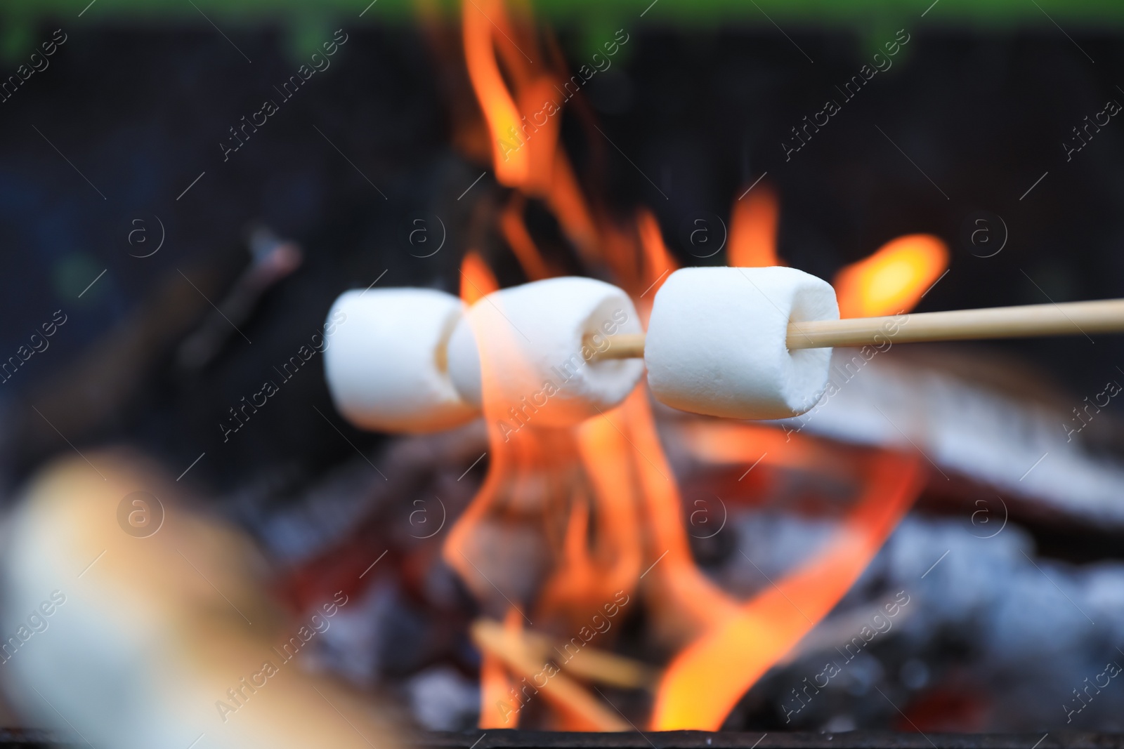 Photo of Delicious puffy marshmallows roasting over bonfire, closeup