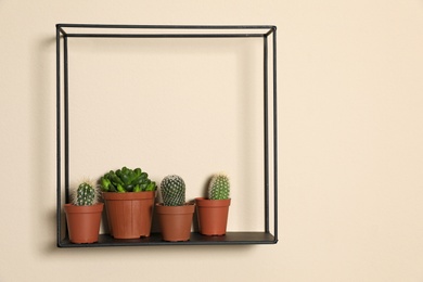 Photo of Shelf with potted plants on beige wall, space for text. Trendy home interior decor