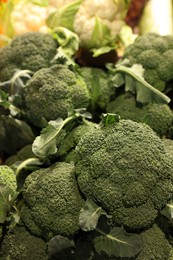 Photo of Fresh broccoli and cabbages on counter at market, closeup