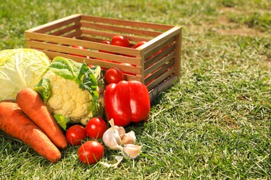 Different tasty vegetables and wooden crate on green grass, space for text