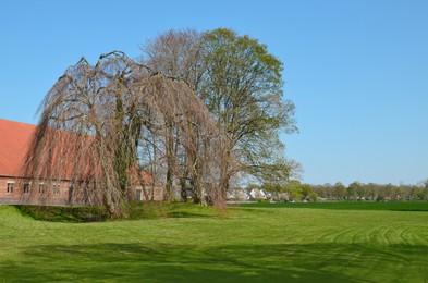 Beautiful green field, trees and buildings on sunny day