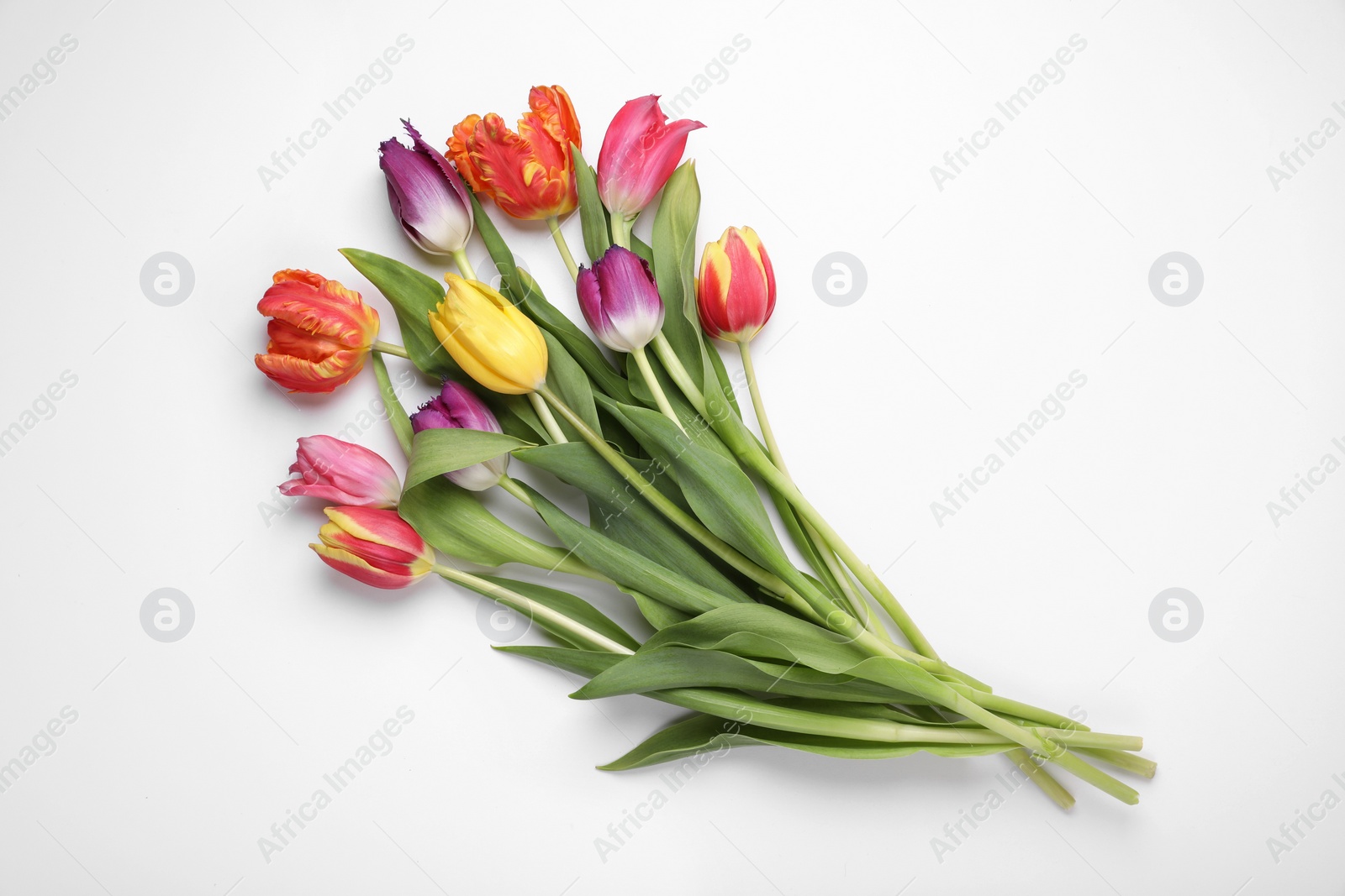 Photo of Beautiful colorful tulip flowers on white background, flat lay