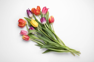 Beautiful colorful tulip flowers on white background, flat lay