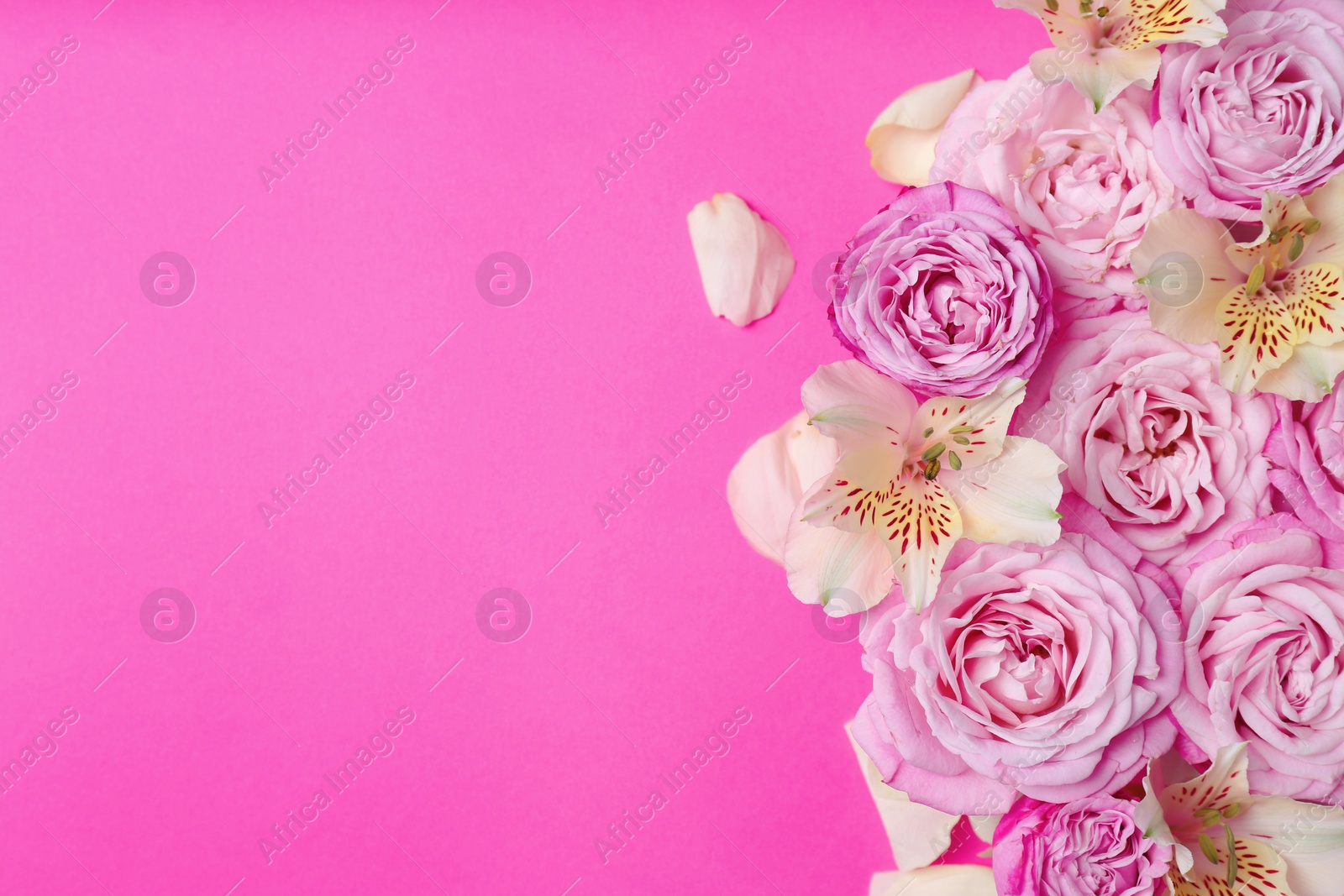 Photo of Fresh flowers on color background, top view with space for text