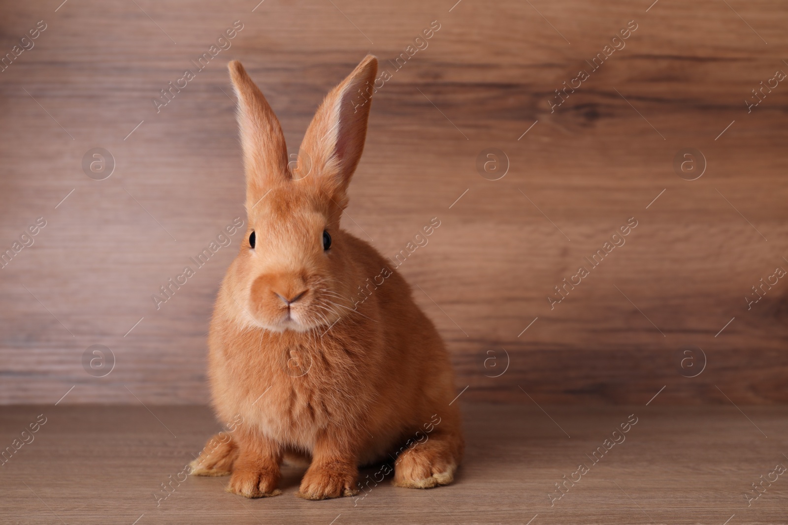 Photo of Cute bunny on table against wooden background, space for text. Easter symbol