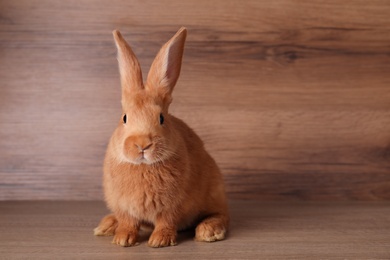 Photo of Cute bunny on table against wooden background, space for text. Easter symbol