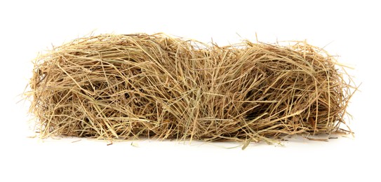 Photo of Small dried hay bale on white background