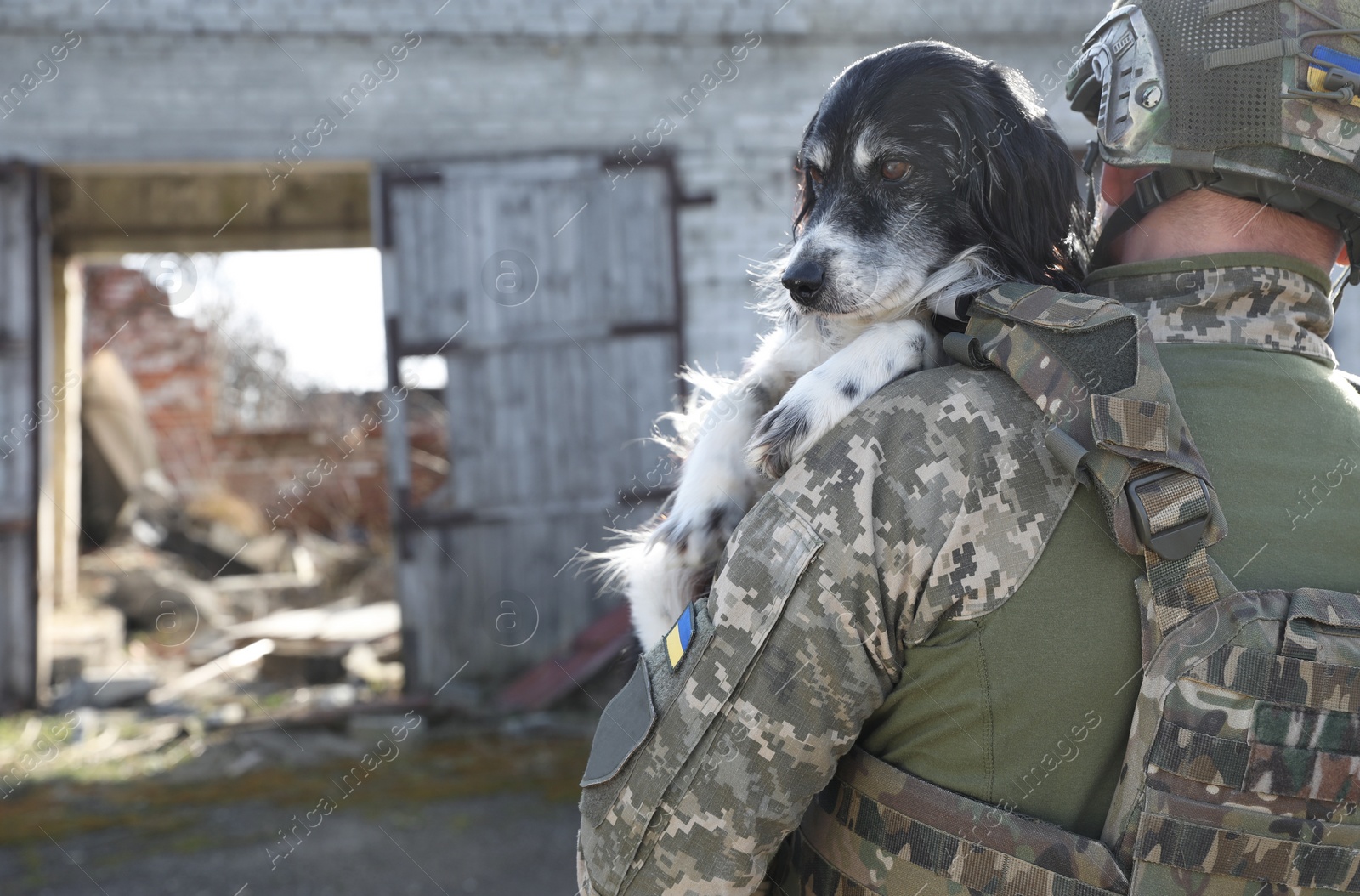 Photo of Ukrainian soldier rescuing stray dog outdoors, back view. Space for text