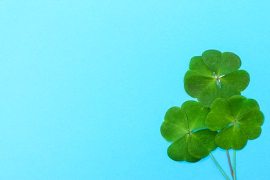 Photo of Beautiful green four leaves clover on light blue background, top view. Space for text