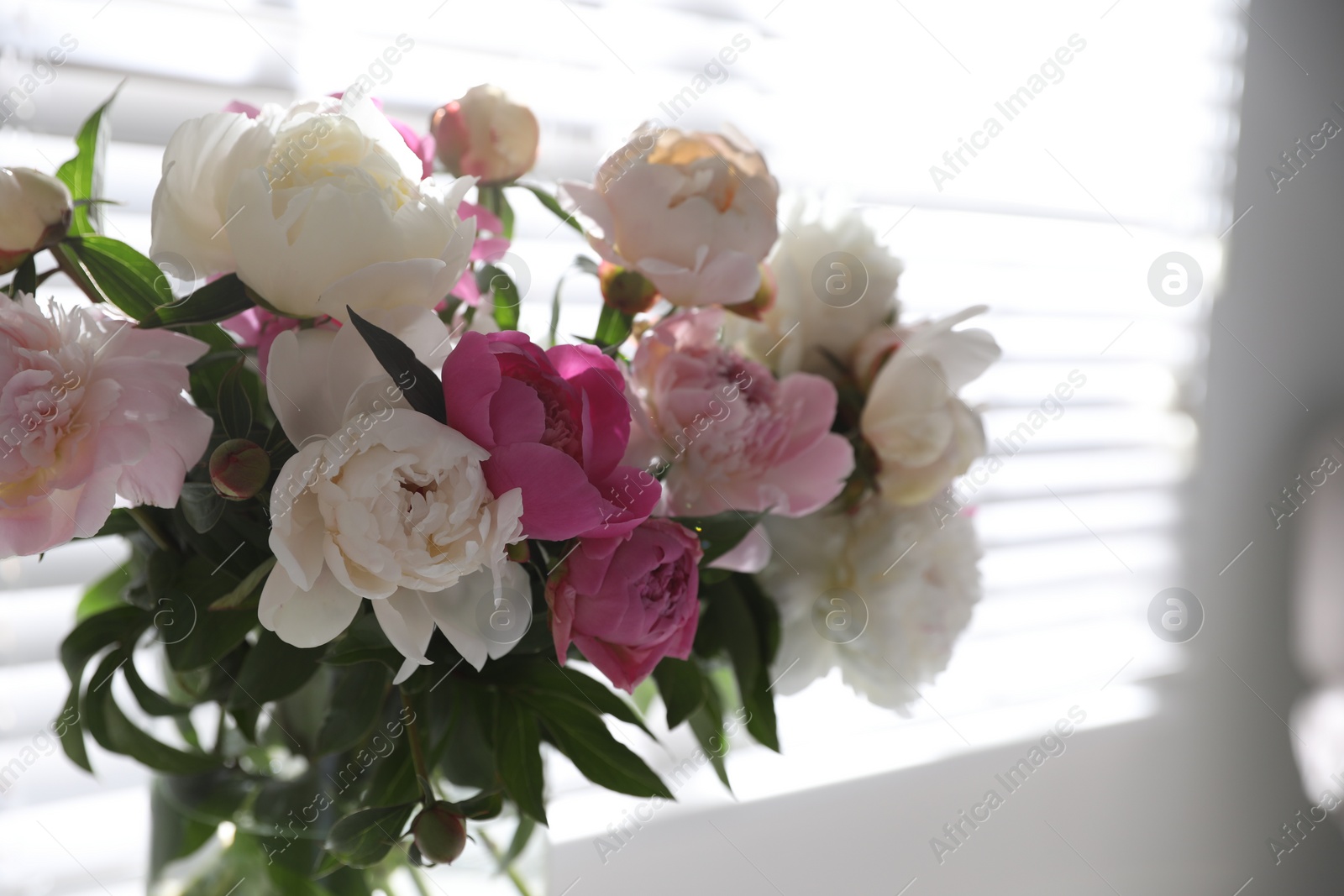 Photo of Closeup view of beautiful peonies near window indoors