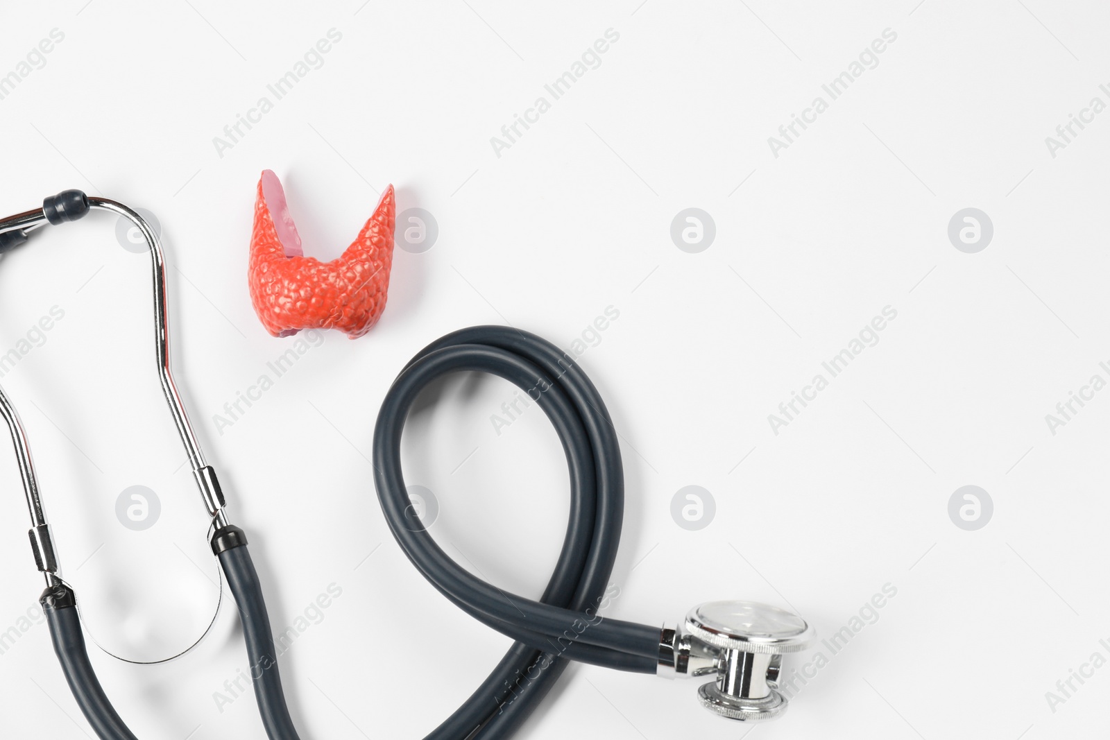 Photo of Endocrinology. Stethoscope and model of thyroid gland on white background, top view. Space for text