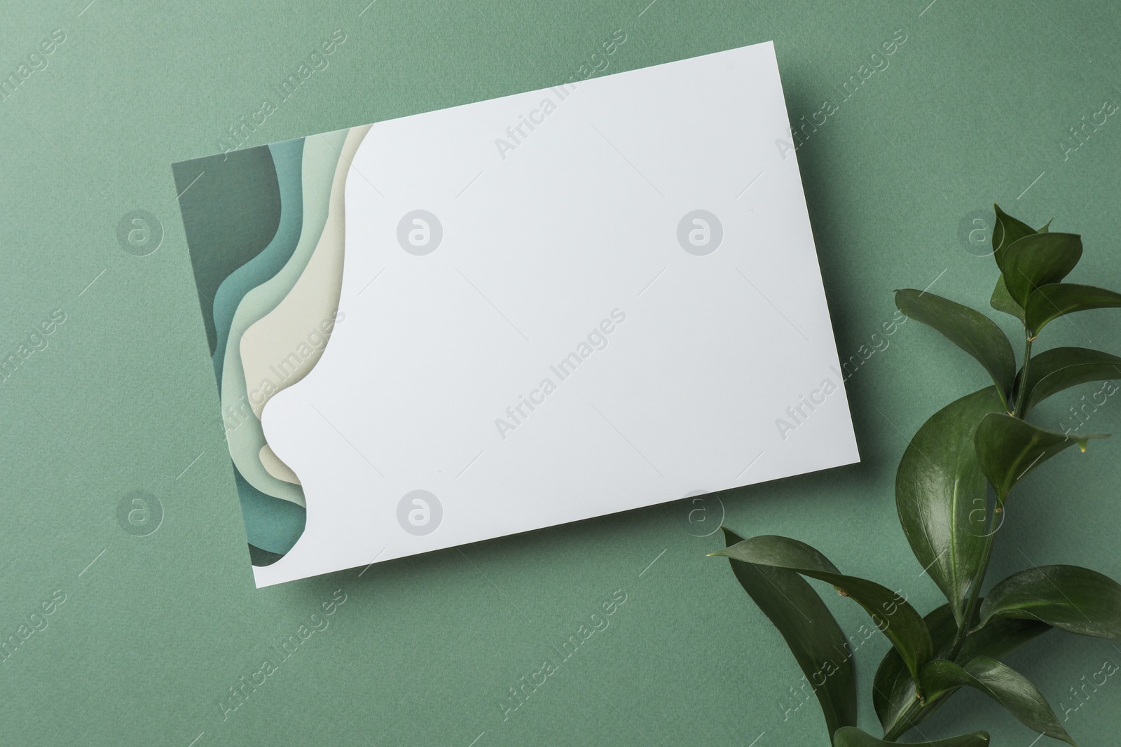 Photo of Blank invitation card and branch on green background, top view. Space for text