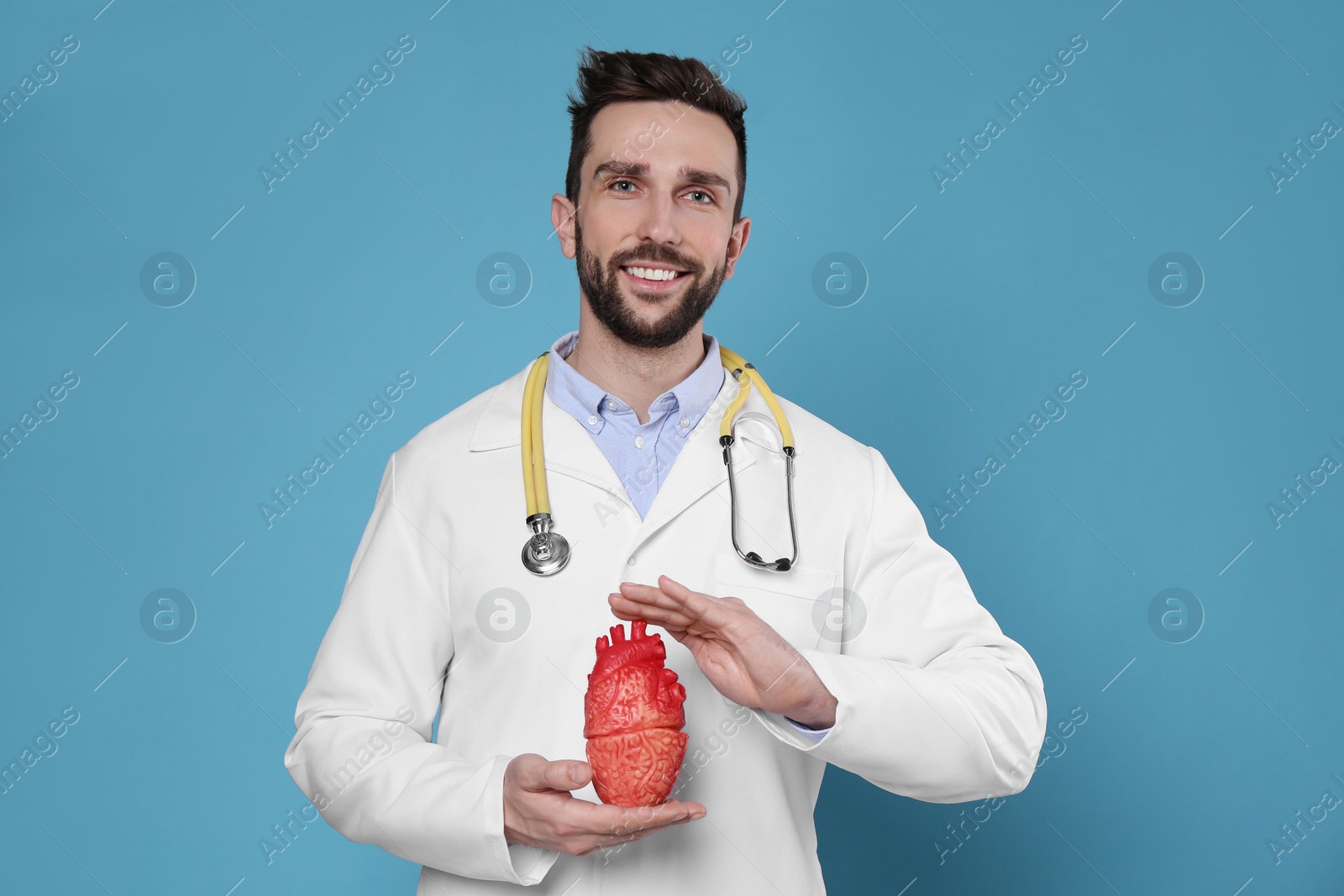 Photo of Doctor with stethoscope and model of heart on light blue background. Cardiology concept