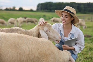 Photo of Smiling woman with tablet stroking sheep on pasture at farm