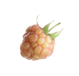 Photo of Fresh green unripe raspberry isolated on white