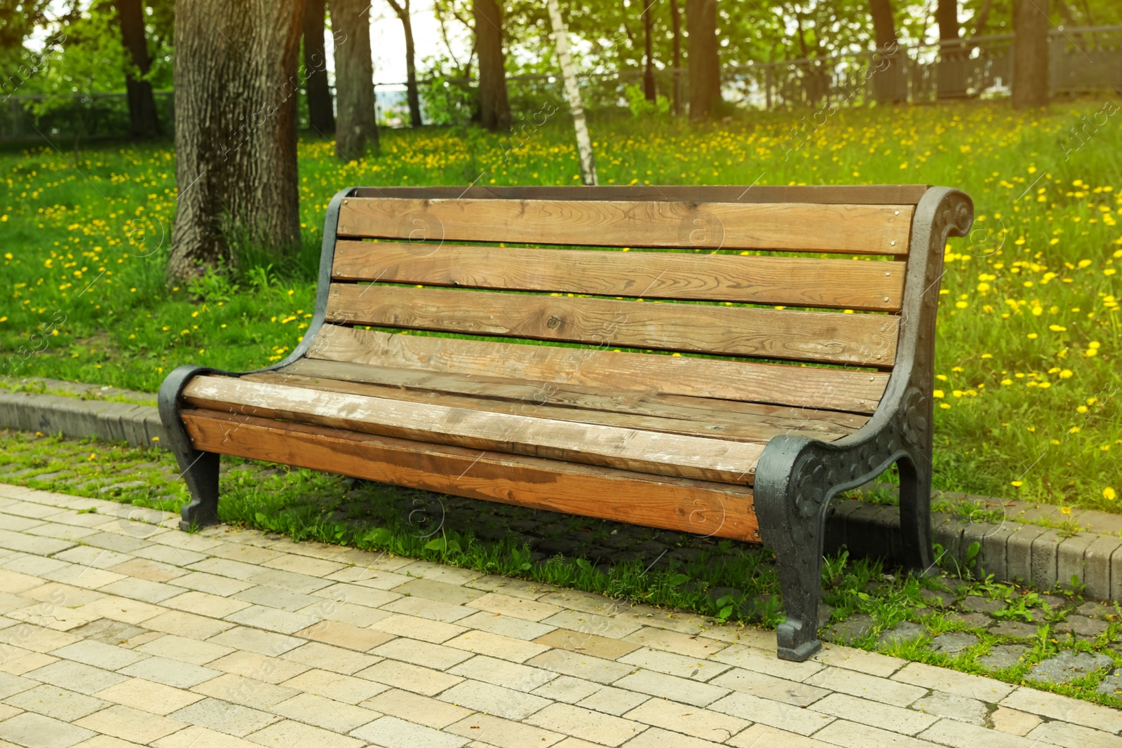 Photo of Beautiful view of city park with bench on spring day