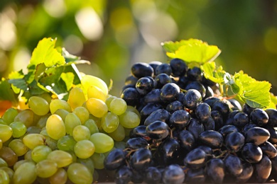 Photo of Fresh ripe juicy grapes on blurred background