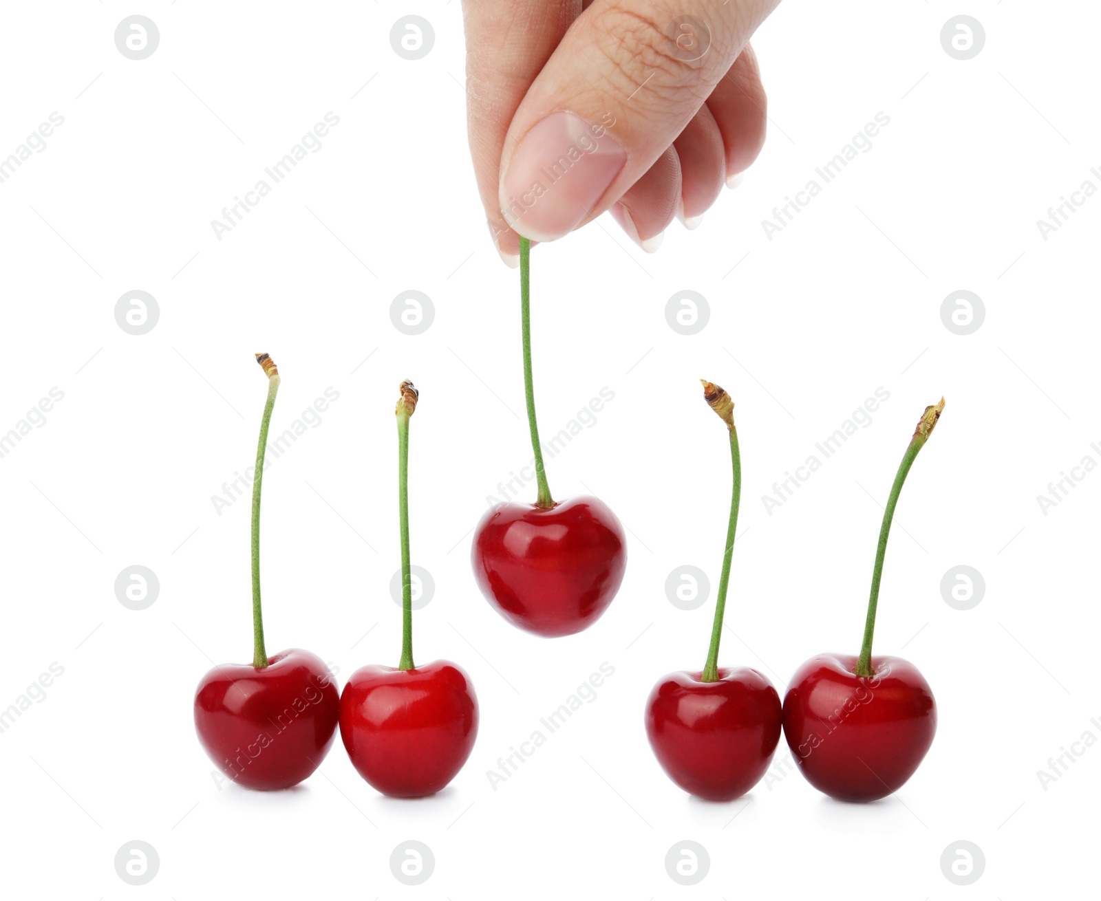 Photo of Woman holding sweet red cherry on white background