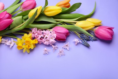Photo of Beautiful different flowers on violet background, space for text