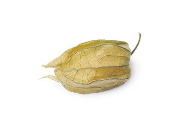 Photo of Ripe physalis fruit with calyx isolated on white, top view