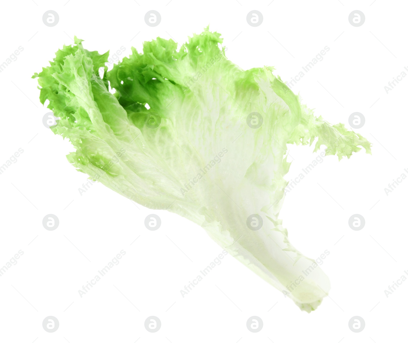 Photo of Fresh green lettuce leaf isolated on white