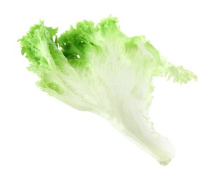 Photo of Fresh green lettuce leaf isolated on white