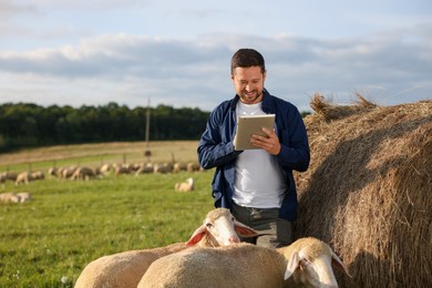 Photo of Smiling farmer using tablet near hay bale and sheep on pasture. Space for text