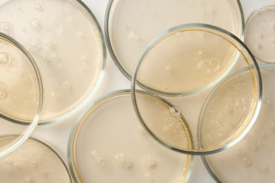 Photo of Petri dishes with color liquid samples on white background, top view