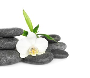 Photo of Spa stones, beautiful orchid flower and bamboo sprout on white background