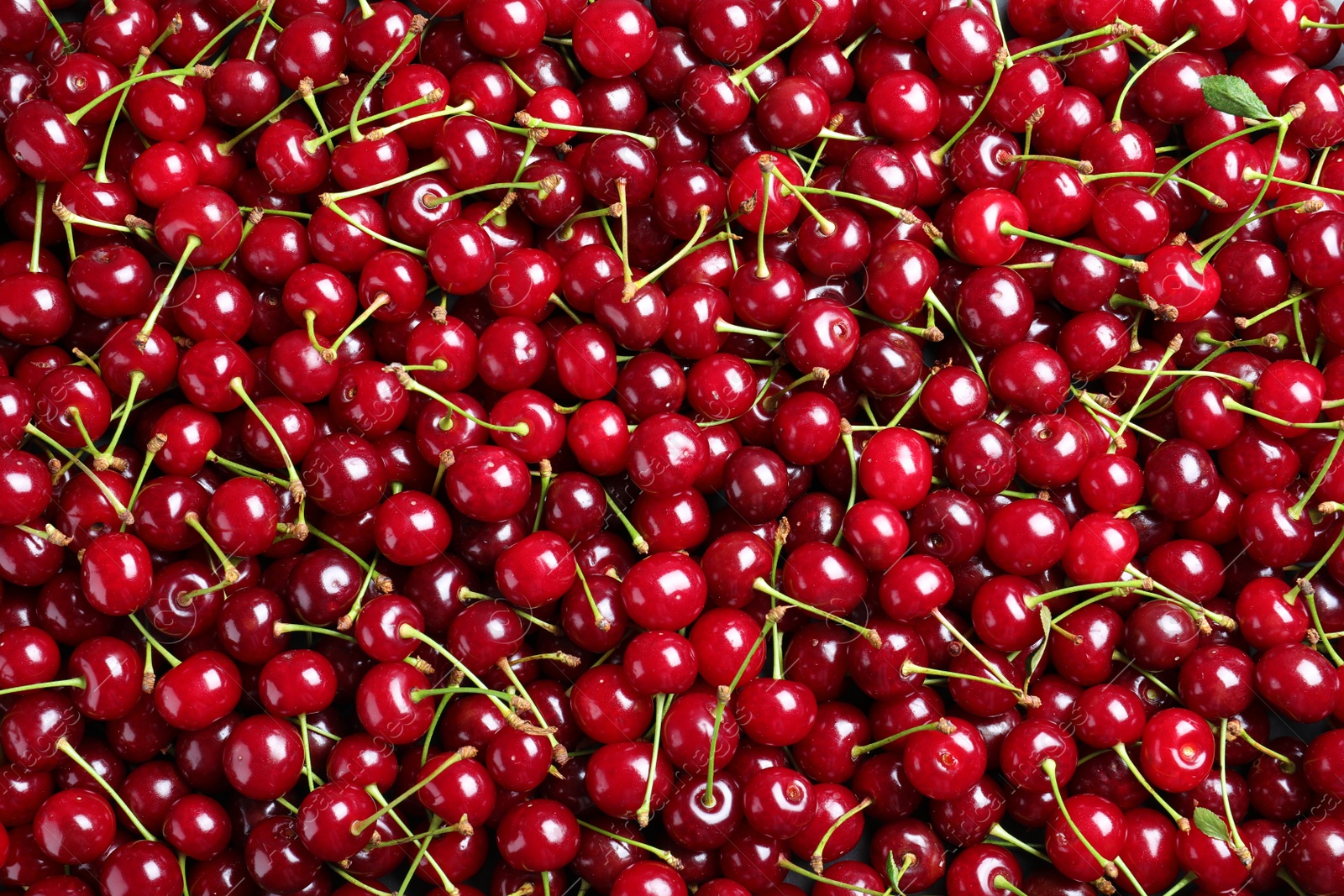 Photo of Sweet red cherries as background, top view