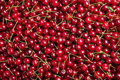 Sweet red cherries as background, top view