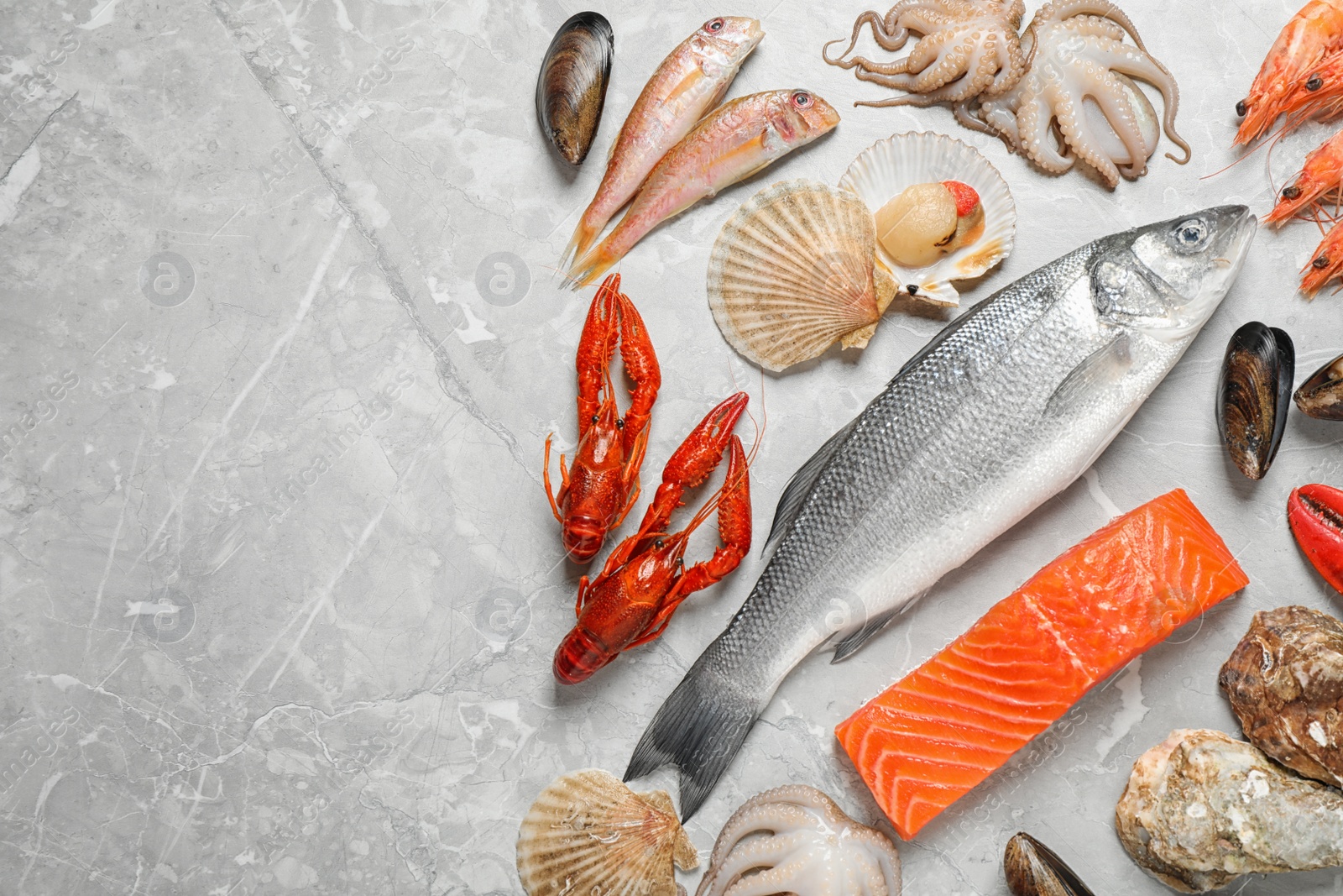 Photo of Fresh fish and seafood on marble table, flat lay. Space for text