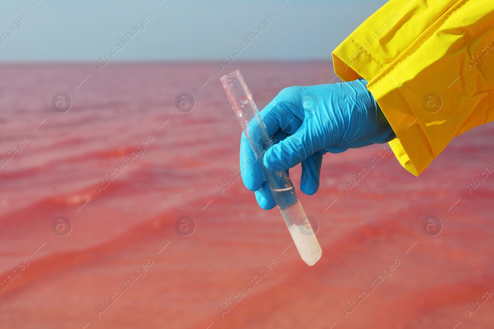 Photo of Laboratory worker with test tube taking sample from pink lake for analysis, closeup