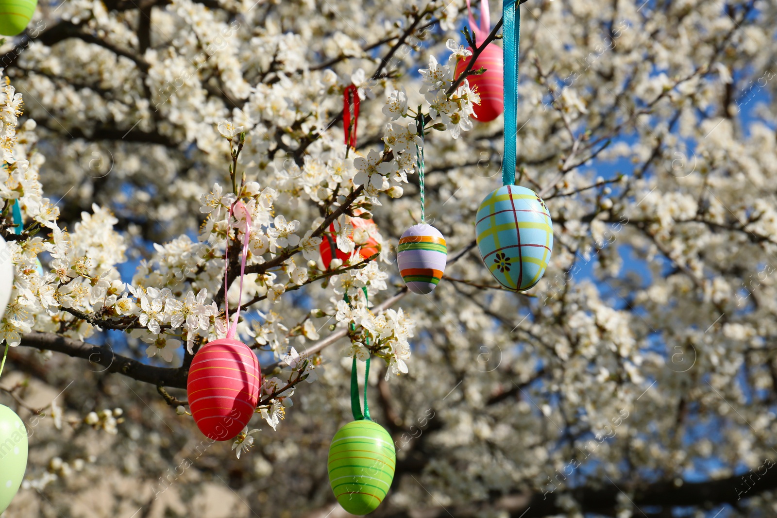 Photo of Beautifully painted Easter eggs hanging on blooming cherry tree outdoors