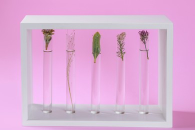 Photo of Test tubes with different plants in decorative stand on pink background