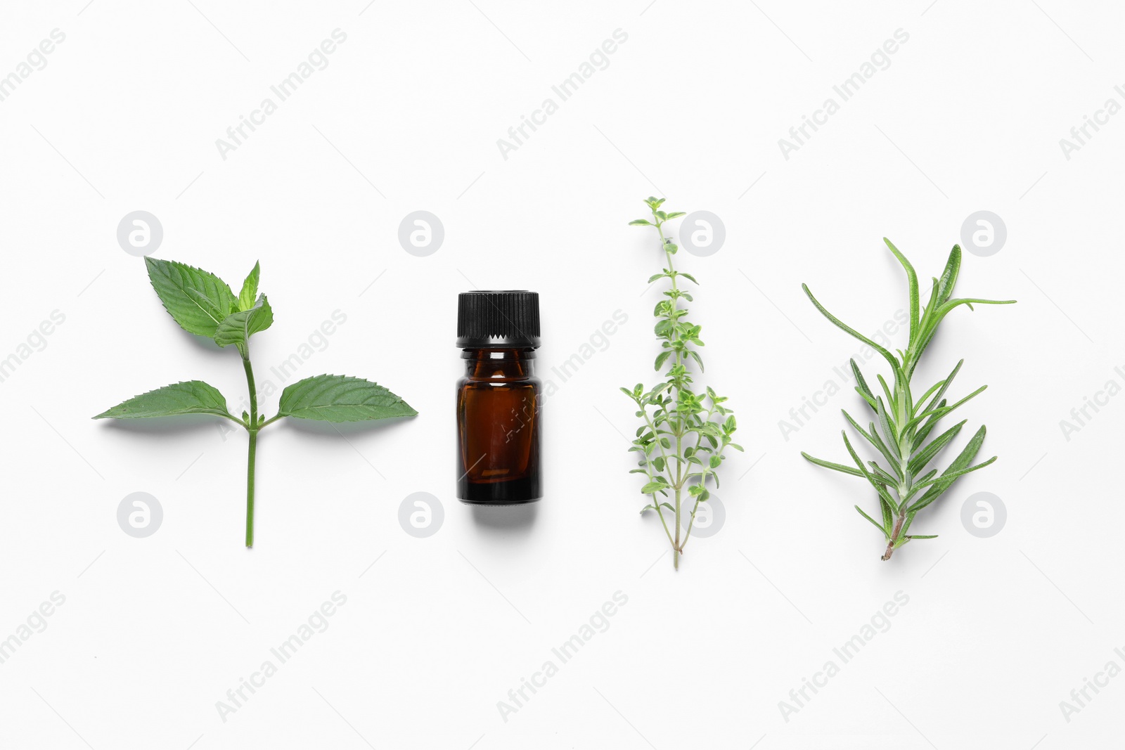 Photo of Bottle of essential oil and different herbs on white background, flat lay